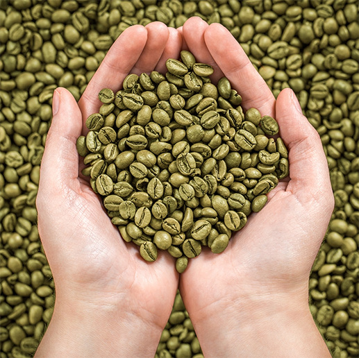 Green Coffee - Πράσινος Καφές < Βότανα | jamesonplace.es
